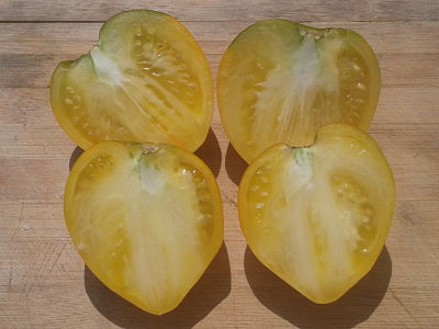 Tomatissims Catalogo de tomates Variedad: Tomatissima 4®