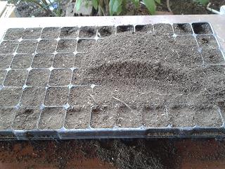 Blog Tomatissims Tomatissimas nueva gama de tomates hibridos naturales