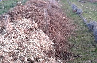 Gestión de residuos urbanos